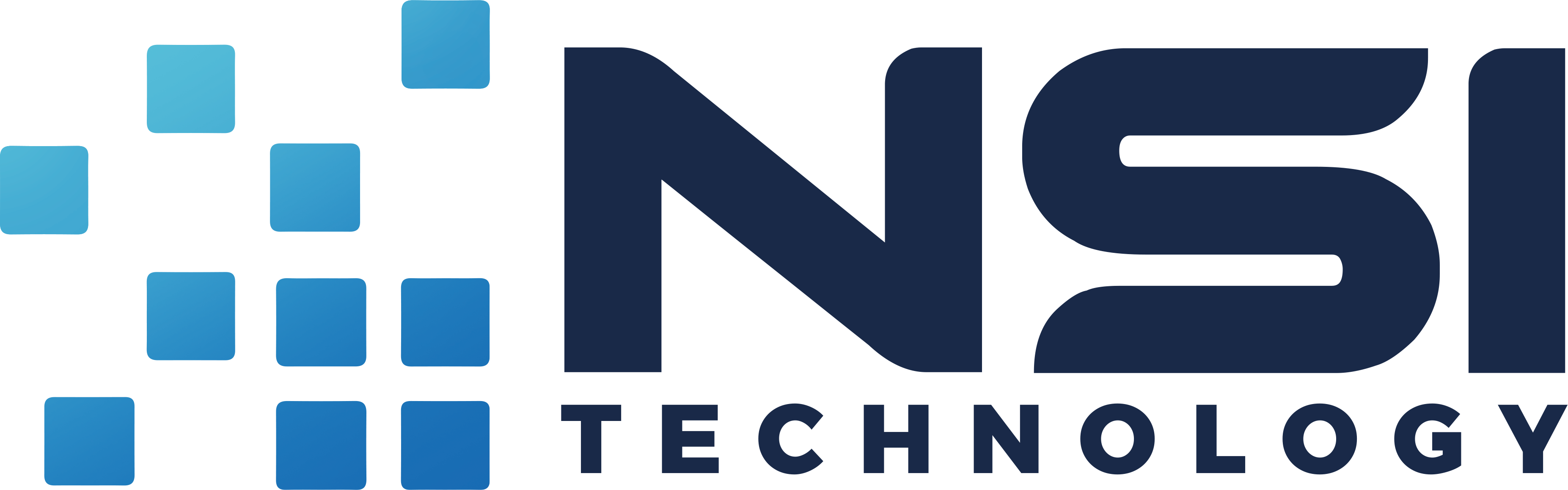 NSI Logo